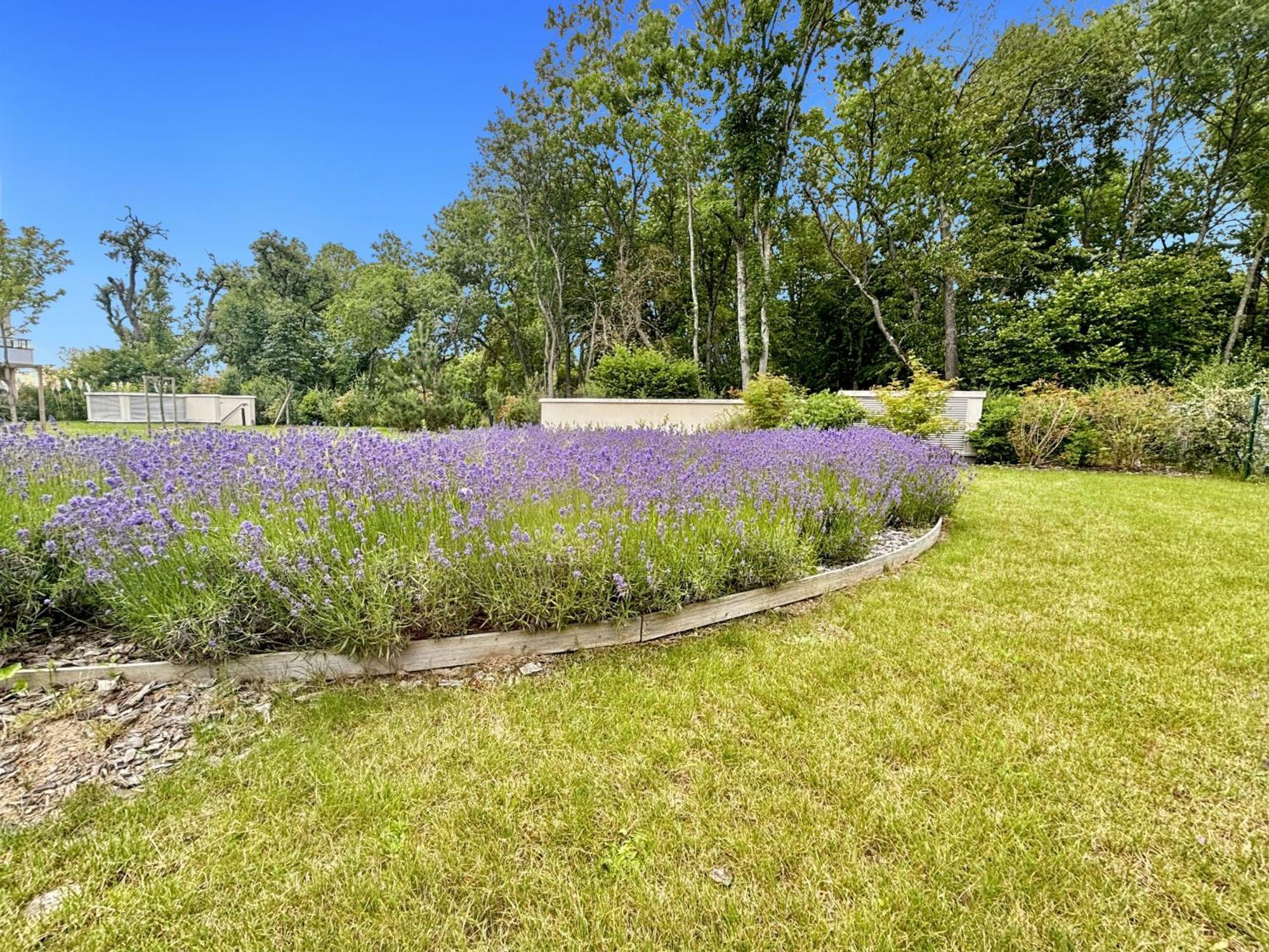 Sunny Suite Disneyland Paris - Rentaway Bnb Montévrain Kültér fotó